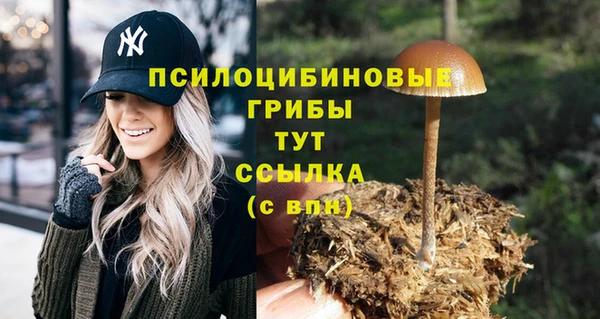 марихуана Бежецк