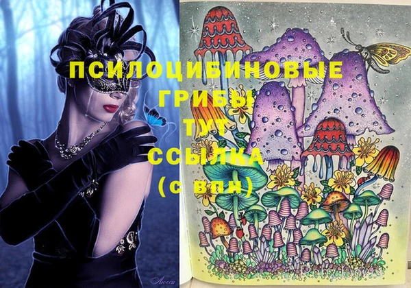 шишки Нефтекумск
